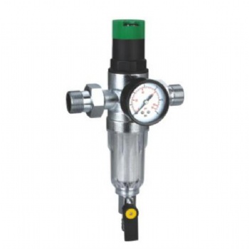 Water filter with pressure gauge